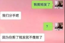 绥江工资清欠服务